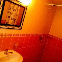 Отель Marijonu Apartments Литва, Паневежис - отзывы, цены и фото номеров - забронировать отель Marijonu Apartments онлайн ванная