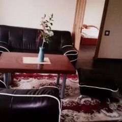 Отель Marijonu Apartments Литва, Паневежис - отзывы, цены и фото номеров - забронировать отель Marijonu Apartments онлайн комната для гостей фото 2
