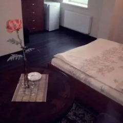 Отель Marijonu Apartments Литва, Паневежис - отзывы, цены и фото номеров - забронировать отель Marijonu Apartments онлайн удобства в номере