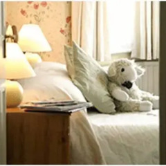 Отель Seabreeze Guest House с домашними животными