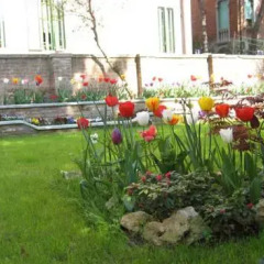 Отель B&B Casa delle Rose фото 3