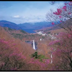 Nikko Lakeside Hotel Никко фото 6