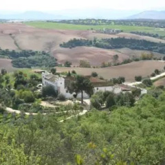 Отель Cortijo Barranco фото 11