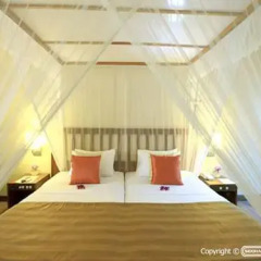 Отель Siddhalepa Ayurveda Health Resort Шри-Ланка, Ваддува - отзывы, цены и фото номеров - забронировать отель Siddhalepa Ayurveda Health Resort онлайн детские мероприятия фото 2