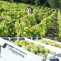 Отель Quinta Da Timpeira с домашними животными