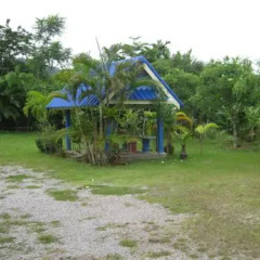 Отель Wangwaree Resort детские мероприятия