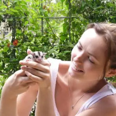 Отель Daintree Wild Zoo & Bed and Breakfast спа