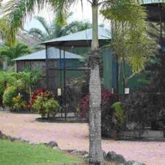 Отель Daintree Wild Zoo & Bed and Breakfast фото 9