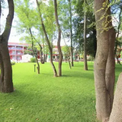 Отель Menada Zornitsa Apartments Болгария, Солнечный берег - отзывы, цены и фото номеров - забронировать отель Menada Zornitsa Apartments онлайн детские мероприятия фото 2