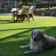 Hotel Rural Posada San Pelayo с домашними животными