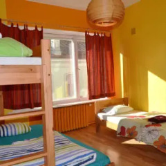 Viru Backpackers Hostel комната для гостей фото 3
