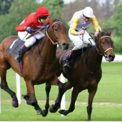 Отель Hunters Club Gregory Lake спортивное сооружение