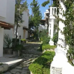Family Belvedere Hotel Турция, Мугла - отзывы, цены и фото номеров - забронировать отель Family Belvedere Hotel онлайн фото 3