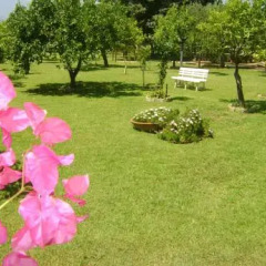 Отель B&B Villa Maria Giovanna Италия, Джардини Наксос - отзывы, цены и фото номеров - забронировать отель B&B Villa Maria Giovanna онлайн фото 7