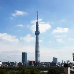 Отель Smile Hotel Asakusa Япония, Токио - 1 отзыв об отеле, цены и фото номеров - забронировать отель Smile Hotel Asakusa онлайн фото 6