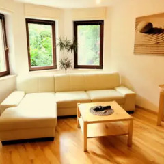 Отель Ferienwohnung Ginkgo Германия, Дрезден - отзывы, цены и фото номеров - забронировать отель Ferienwohnung Ginkgo онлайн комната для гостей фото 4