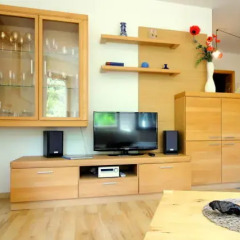 Отель Ferienwohnung Ginkgo Германия, Дрезден - отзывы, цены и фото номеров - забронировать отель Ferienwohnung Ginkgo онлайн удобства в номере фото 2