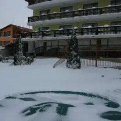 Margarita Hotel