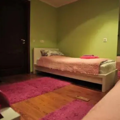 Hostel Golyanovo комната для гостей фото 5