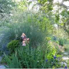 Отель Il Giardino Dell'Artemisia Грессан приотельная территория