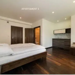 Отель Apartamenty Grunwaldzka Закопане комната для гостей фото 3