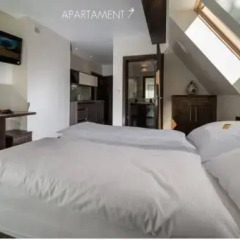 Отель Apartamenty Grunwaldzka Закопане комната для гостей фото 2