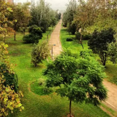 Отель Turia Hotel Испания, Валенсия - 3 отзыва об отеле, цены и фото номеров - забронировать отель Turia Hotel онлайн фото 11