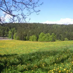 Отель Innergruberhof Авеленго фото 3