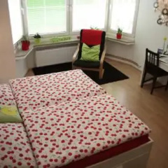 Апартаменты Apartment Bett am Rhein комната для гостей фото 3