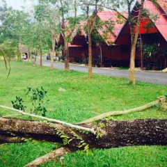 Отель Baan Mai Resort Таиланд, Краби - отзывы, цены и фото номеров - забронировать отель Baan Mai Resort онлайн фото 7
