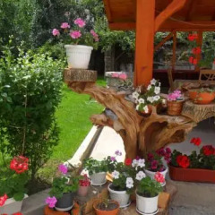 Отель Vien Guest House интерьер отеля