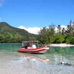 Отель Legends Resort Moorea Французская Полинезия, Муреа - отзывы, цены и фото номеров - забронировать отель Legends Resort Moorea онлайн приотельная территория