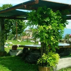 Отель Milleglicini Casa Vacanze Сполето фото 5