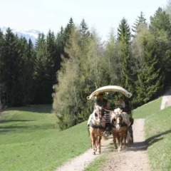Отель Innergruberhof Авеленго