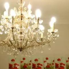 Отель Amstel Canal Guest House