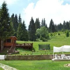 Отель Forest Nook Aparthotel Пампорово