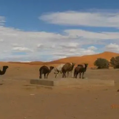 Отель Kasbah sable dor Марокко, Мерзуга - отзывы, цены и фото номеров - забронировать отель Kasbah sable dor онлайн спортивное сооружение
