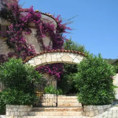 Hadrian Hotel Турция, Патара - отзывы, цены и фото номеров - забронировать отель Hadrian Hotel онлайн фото 7