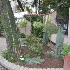 Отель Amber Apartments Польша, Гданьск - отзывы, цены и фото номеров - забронировать отель Amber Apartments онлайн фото 3
