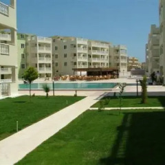 Royal Marina Apartments Турция, Алтинкум - отзывы, цены и фото номеров - забронировать отель Royal Marina Apartments онлайн бассейн фото 3