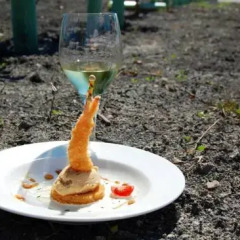 Отель Cortijo de Ducha Испания, Пуэрто Де Санта Мария - отзывы, цены и фото номеров - забронировать отель Cortijo de Ducha онлайн гостиничный бар