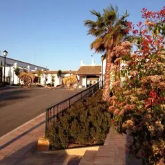 Отель Cortijo de Ducha Испания, Пуэрто Де Санта Мария - отзывы, цены и фото номеров - забронировать отель Cortijo de Ducha онлайн фото 3