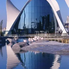 Отель Ibis Valencia Palacio de Congresos Испания, Валенсия - отзывы, цены и фото номеров - забронировать отель Ibis Valencia Palacio de Congresos онлайн пляж