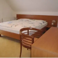 Hotel Bazant комната для гостей фото 3