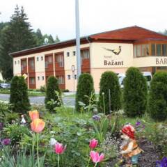 Hotel Bazant фото 5
