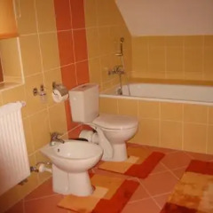 Hotel Bazant ванная