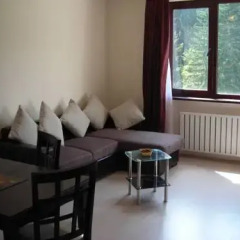 Отель Snow Doves Borovets Apartments Болгария, Боровец - отзывы, цены и фото номеров - забронировать отель Snow Doves Borovets Apartments онлайн комната для гостей фото 3