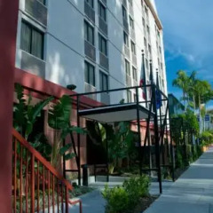 Отель Hilton Garden Inn Los Angeles/Hollywood Лос-Анджелес детские мероприятия