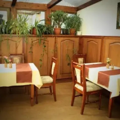 Отель Guest House Pirina Болгария, Банско - отзывы, цены и фото номеров - забронировать отель Guest House Pirina онлайн питание фото 2