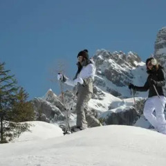 Отель Appartamenti Regina Dolomitissime спортивное сооружение